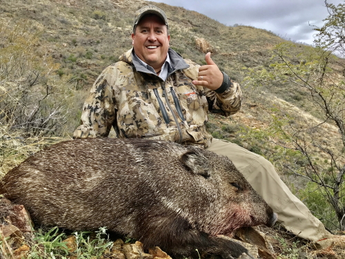 javalina javelina hunting in arizona with a rifle guides outfitters