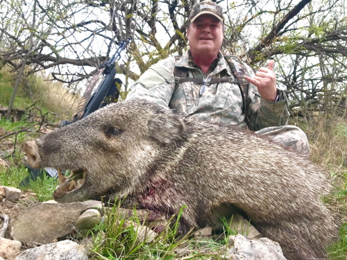 rifle season javelina hunting in arizona javalina hunt