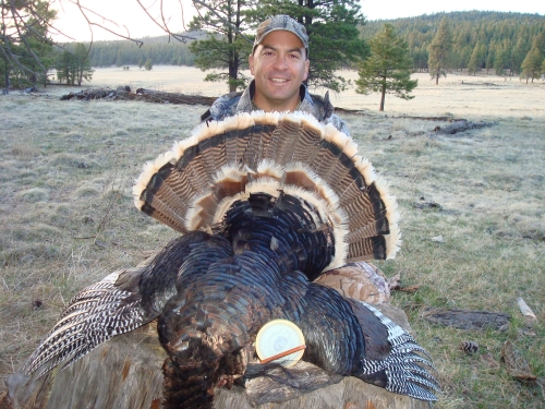 arizona merriams turkey hunt guide outfitter hunting