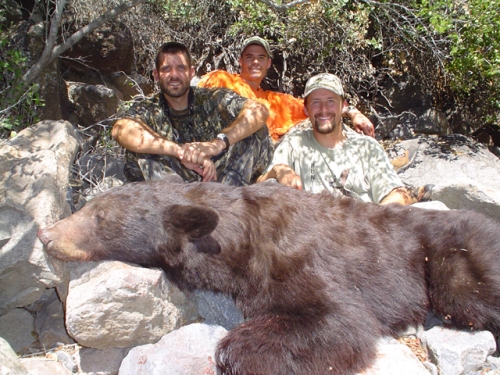arizona bear hunting guides