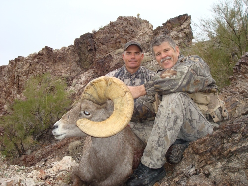 arizona desert bighorn sheep hunt