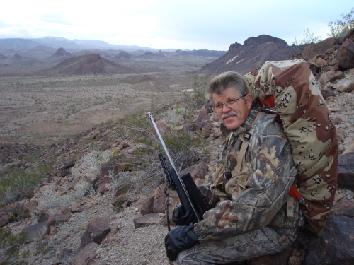 hunting for desert sheep