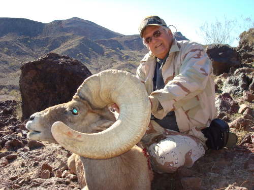 nelson desert bighorn sheep hunting guides in arizona