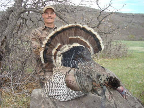 new mexico merriams turkey hunting